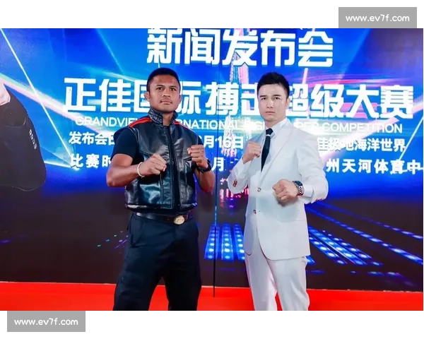 播求巅峰对决全集回顾燃爆赛场的泰拳传奇瞬间世界顶级格斗视觉盛宴