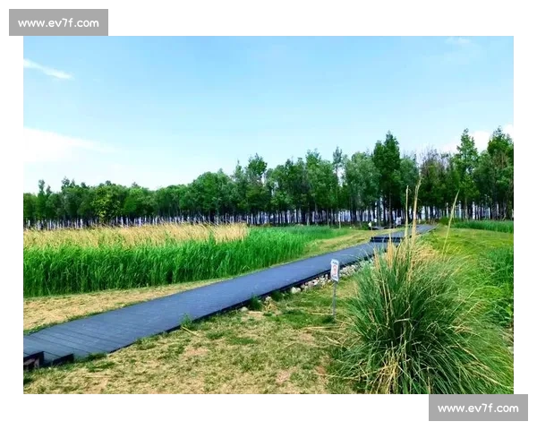 环洱海自行车比赛点燃大理体育旅游新活力全民参与绿色骑行展现生态之美